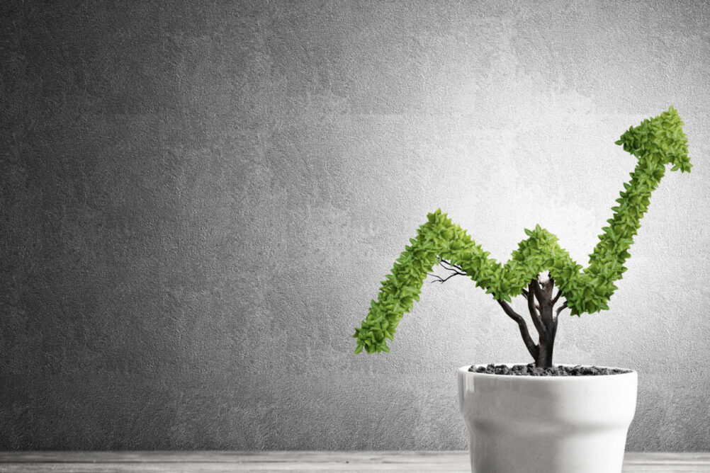 WordPress Blog Growth Plant